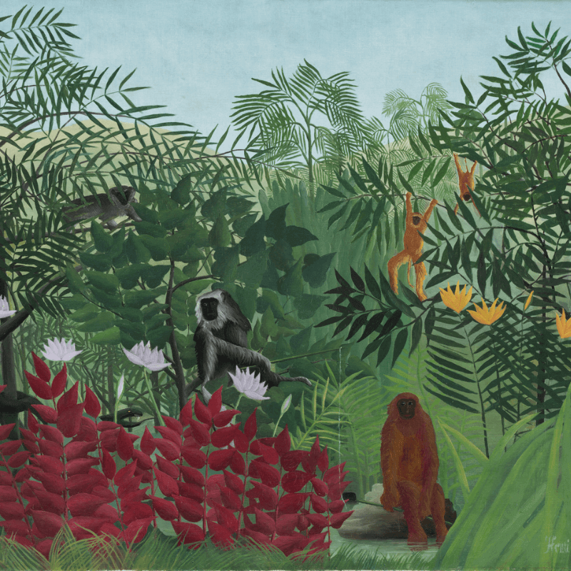 Henri Rousseau le douanier 